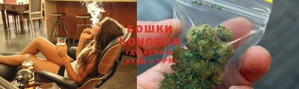 ECSTASY Богданович