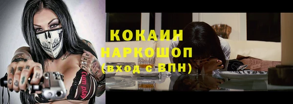 ECSTASY Богданович