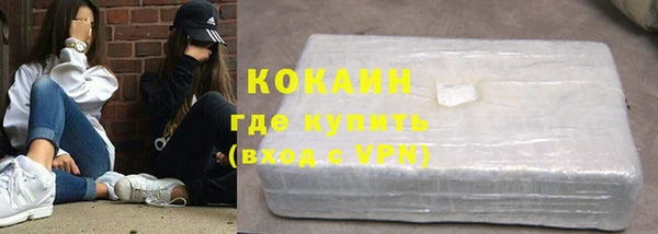 ECSTASY Богданович