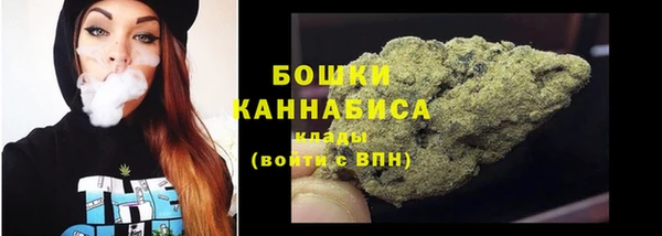 ECSTASY Богданович
