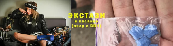 ECSTASY Богданович