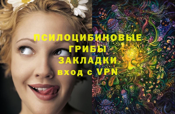 ECSTASY Богданович